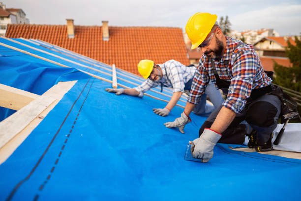 Best Roof Insulation Installation  in St Martins, MO